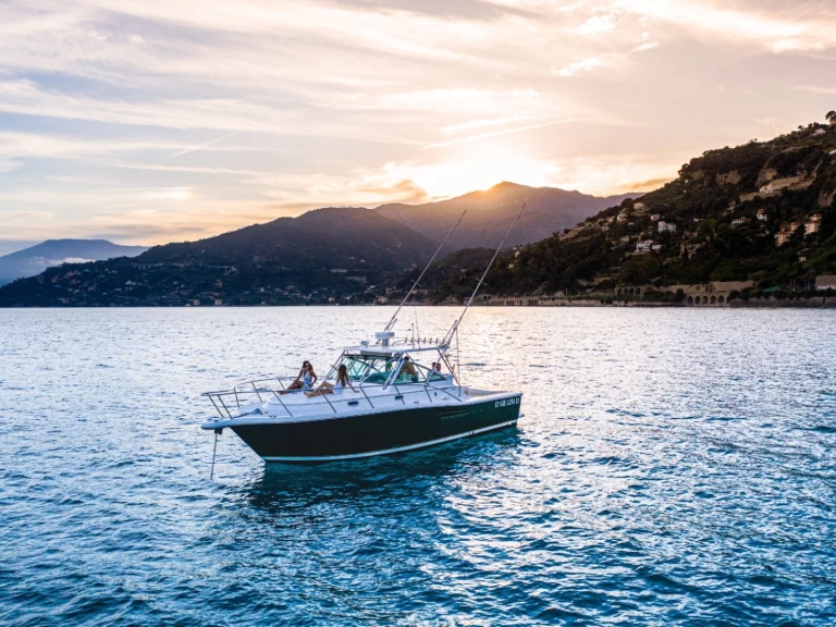 Uthyrning Motorbåt  PURSUIT  med en båtlicens 