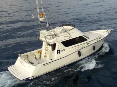 Hyra Motorbåt  med eller utan skeppare Rodman Marbella  