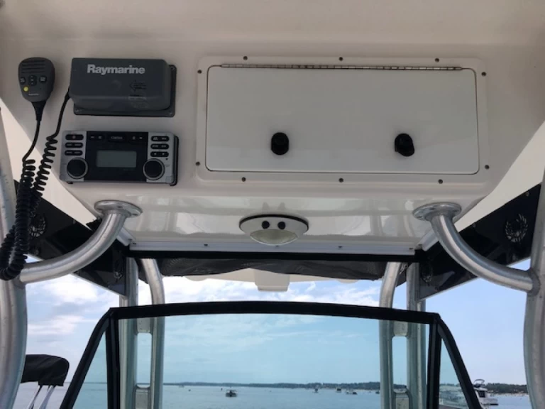 Hyr en Wellcraft Scarab 30 Open Piraillan 