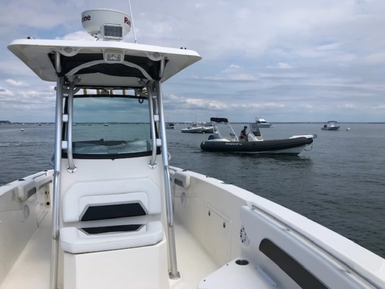 Yacht charter Piraillan billig Scarab 30 Open