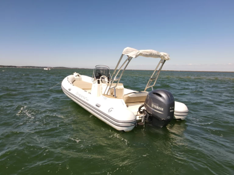 Uthyrning RIB Capelli med en båtlicens 