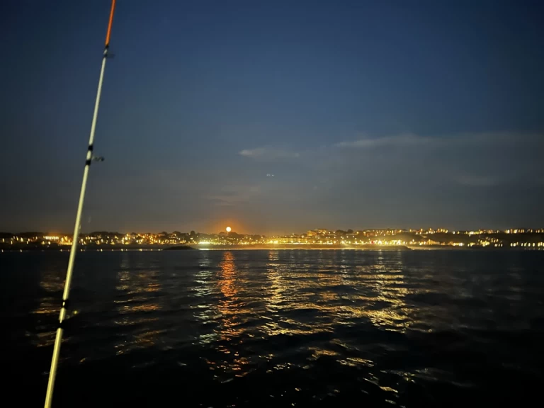 Uthyrning Motorbåt  i Bayonne - Ultramar Ultra 515 Open