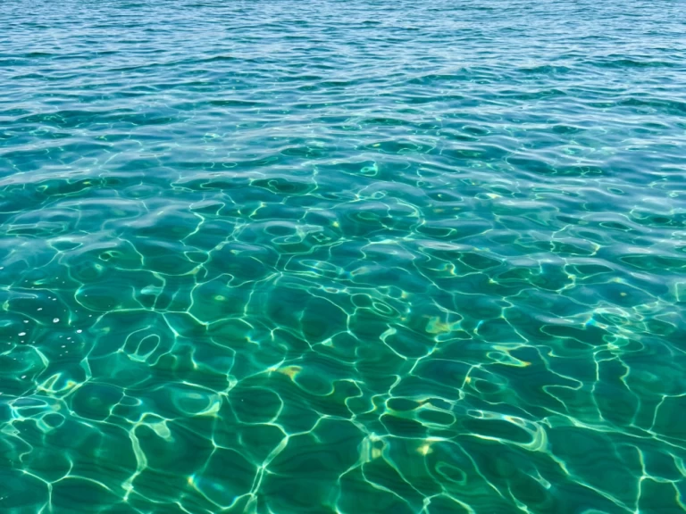 Uthyrning Motorbåt  Sea Ray med en båtlicens 