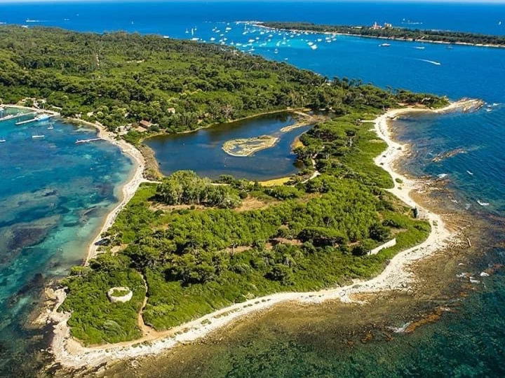 Hyra Motorbåt  med eller utan skeppare Karnic Cannes 