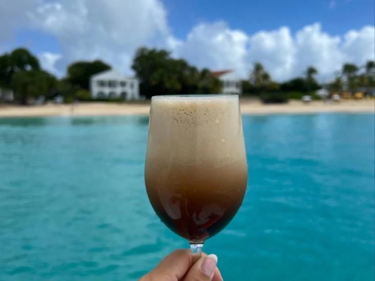 Yacht charter Marigot billig Lavezzi 40 Maestro