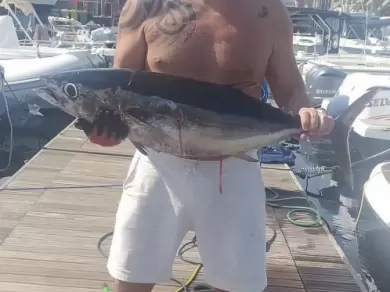 Båtuthyrning Sealine Ambassador 360 i Ognina - Picanello - Barriera - Canalicchio på Samboat 