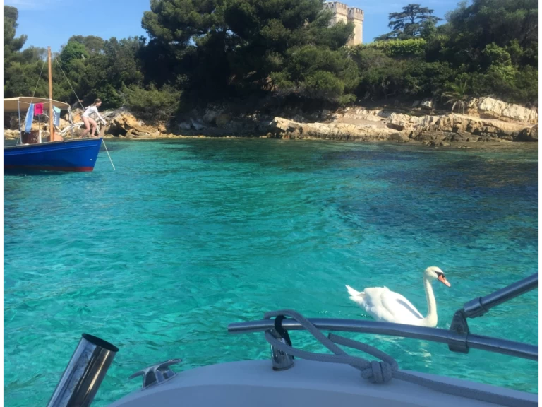 Chris Craft Sea Hawk 213 charter bareboat eller skeppad i Cannes