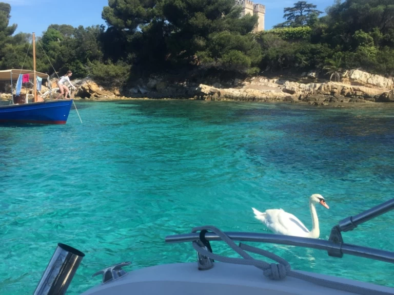 Ranieri Shadow 22 S charter bareboat eller skeppad i Cannes