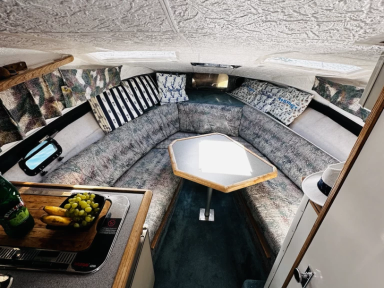 Bayliner Bayliner 2655 Ciera Sunbridge charter bareboat eller skeppad i Kumbor