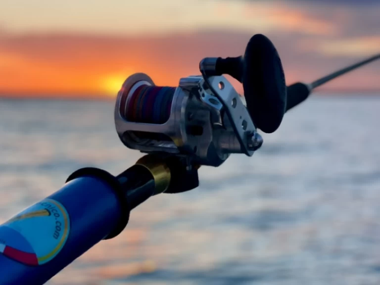 Hyra RIB med eller utan skeppare Perondi Porto Cesareo (Port) 