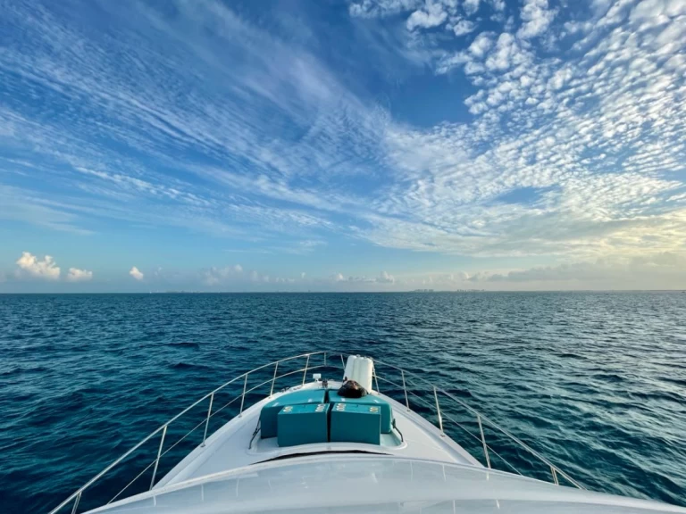 Uthyrning Lyx yacht Sea Ray med en båtlicens 