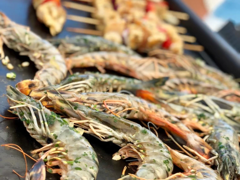 Uthyrning Katamaran  Plan-Caroff med en båtlicens 