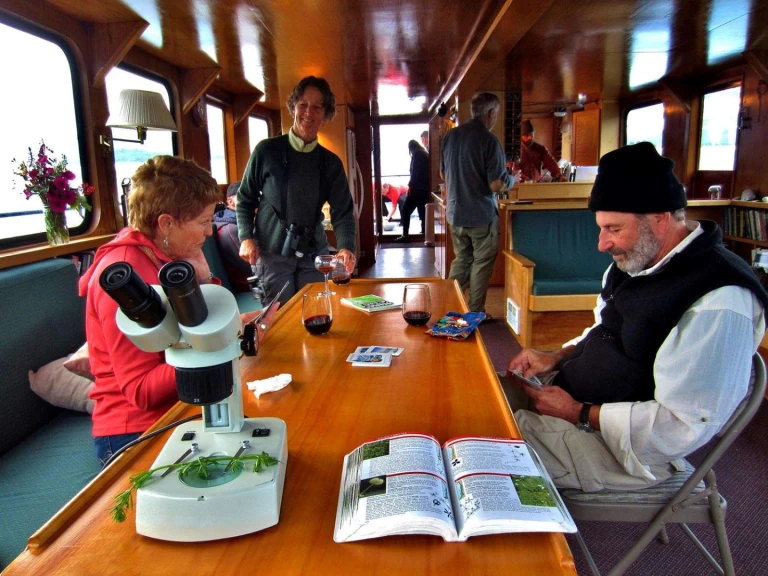 Lyx yacht för uthyrning San Juan Islands till det bästa priset 