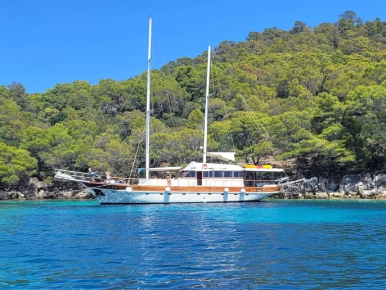 Hyr en Custom Made Vito Split  