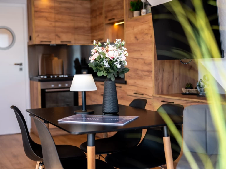 Hyra Kanalbåt med eller utan skeppare Rivo Buchholz City 