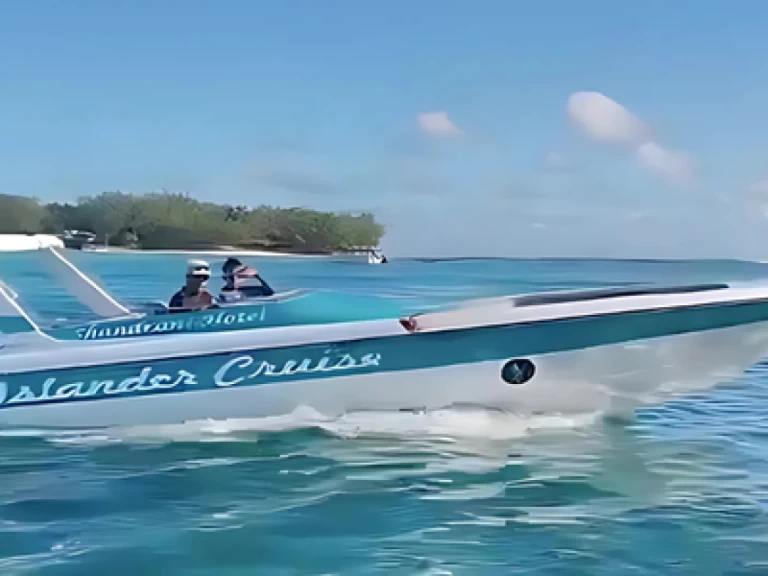 Hyra Motorbåt  med eller utan skeppare Cobra Blue bay 