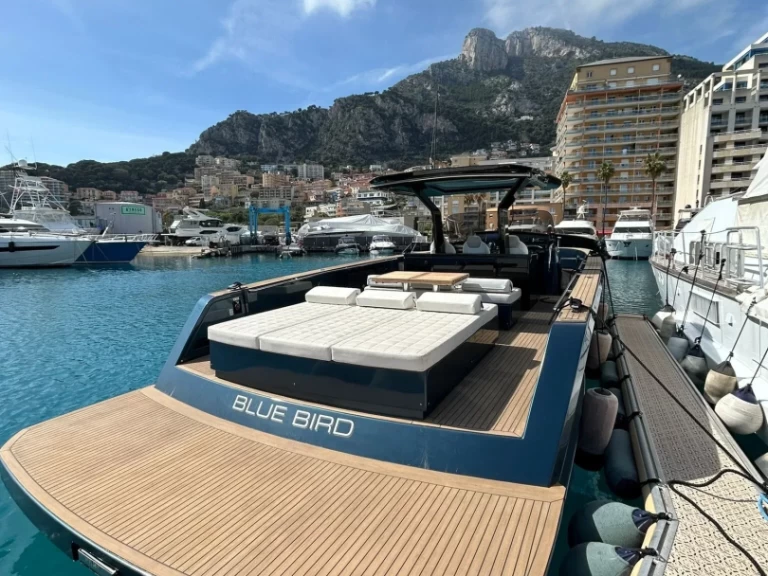 Hyr en Pardo 43 Blue Bird Golfe-Juan 