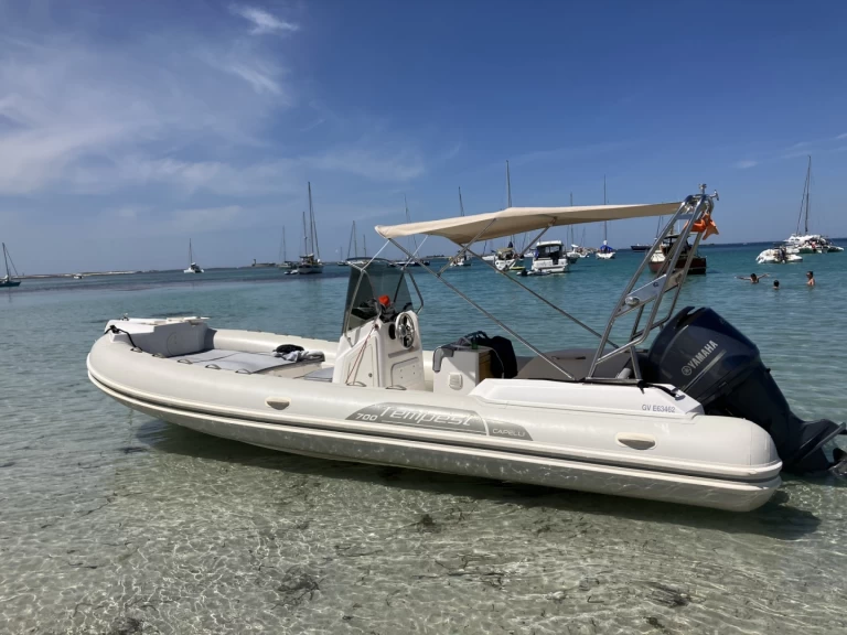 Uthyrning RIB Capelli med en båtlicens 