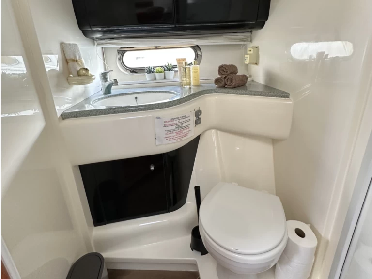 Sealine Sealine S 42 charter bareboat eller skeppad i Marina Puerto Calero