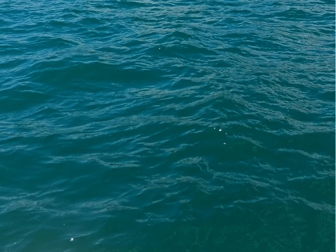 Hyr en Bénéteau Flyer 650 WA Le Cap d'Agde 