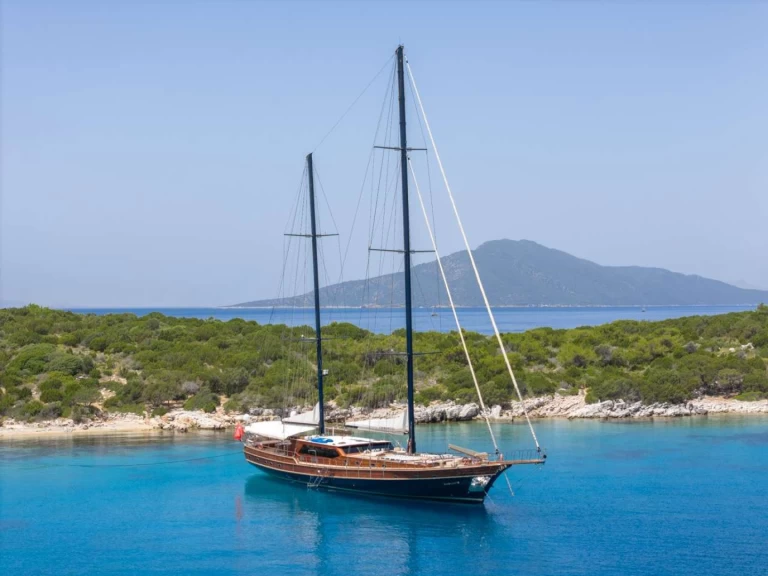 Uthyrning Lyx yacht Custom Gulet-Motor Sailor med en båtlicens 