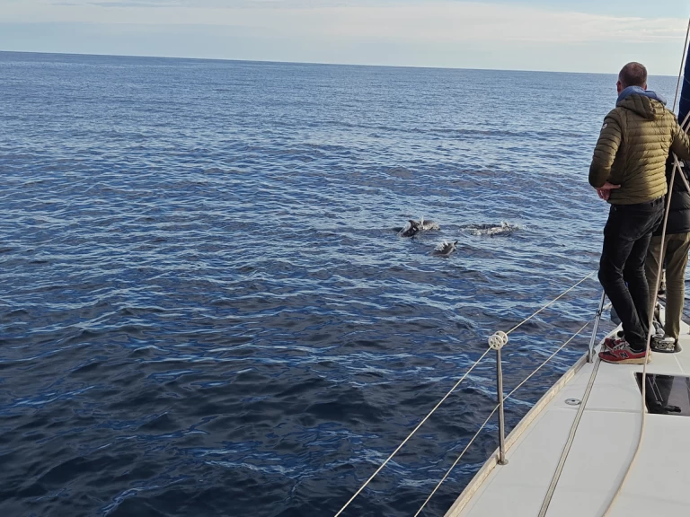 Segelbåt  för uthyrning Saint-Cyprien-Plage till det bästa priset 