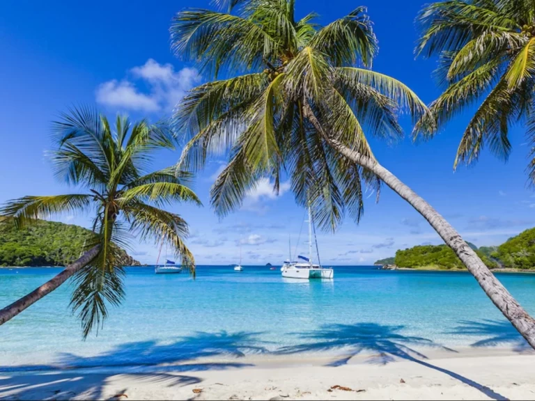 Katamaran  för uthyrning Saint Vincent (Island) till det bästa priset 