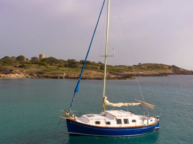 Yacht charter Palma de Mallorca billig delfin 28