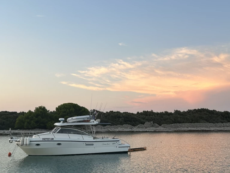 Polyform Triakis C30 charter bareboat eller skeppad i Umag