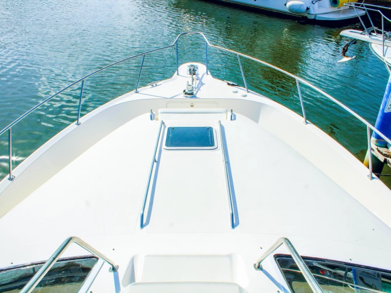 Yacht charter Miami  billig 450 fly bridge 