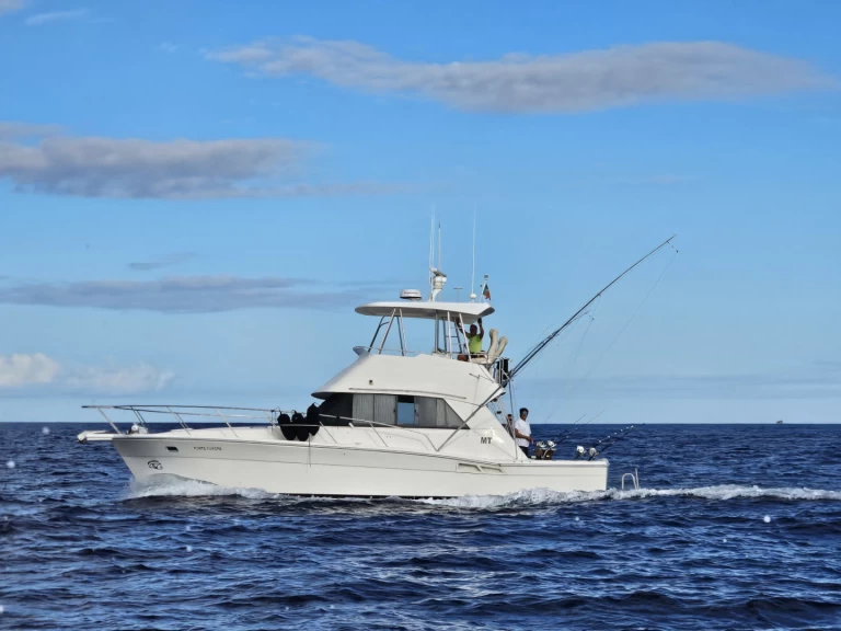 Uthyrning Motorbåt  i Ponta Delgada (São Pedro) - Riviera Riviera 39 Open Flybridge