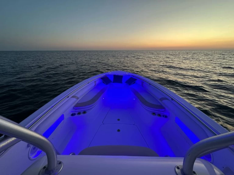 Yacht charter Ýdra billig Boston Whaler 320 Outrage