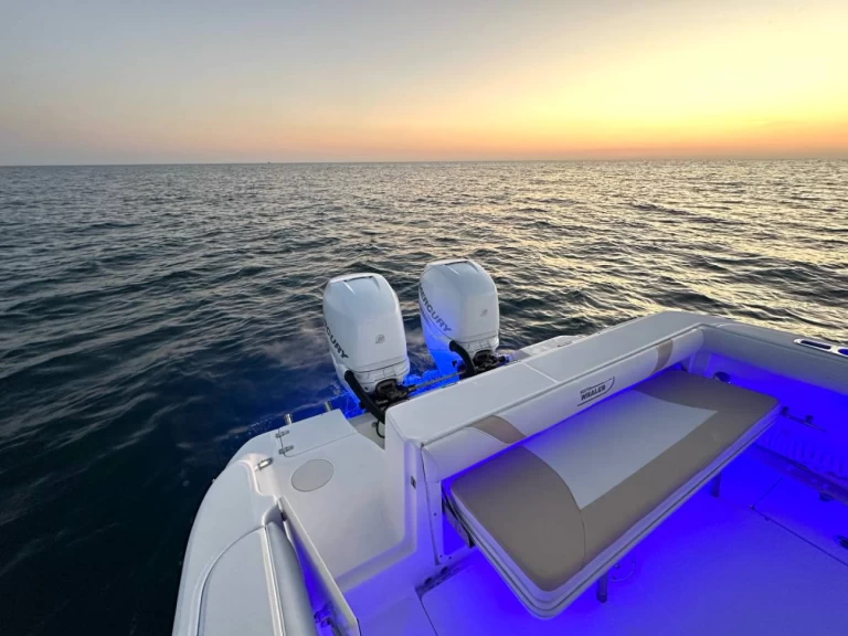 Uthyrning Motorbåt  i Ýdra - Boston Whaler Boston Whaler 320 Outrage