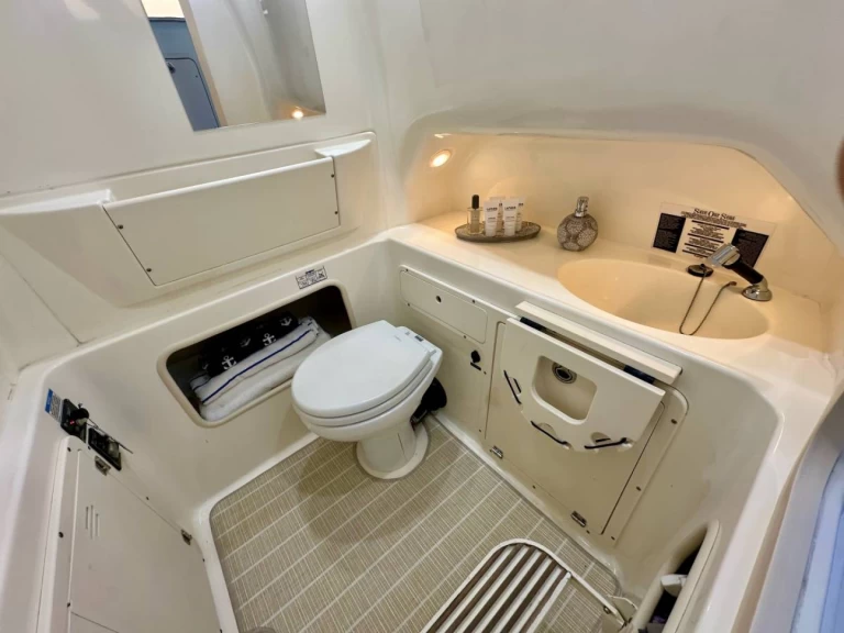 Båtuthyrning Boston Whaler Boston Whaler 320 Outrage i Ýdra på Samboat 