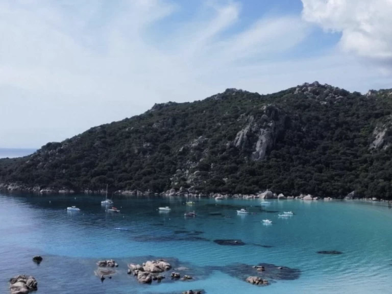 RIB för uthyrning Porto-Vecchio till det bästa priset 