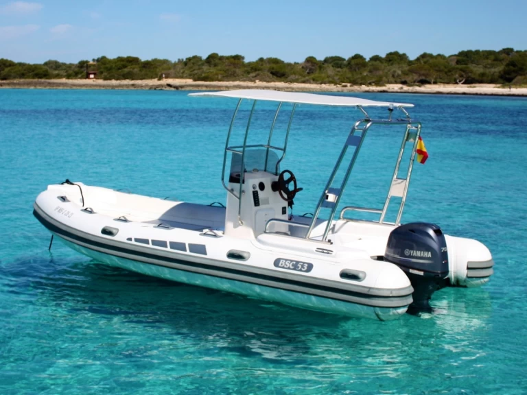 Hyr en Colzani-Ricambi BSC53 Fornells 