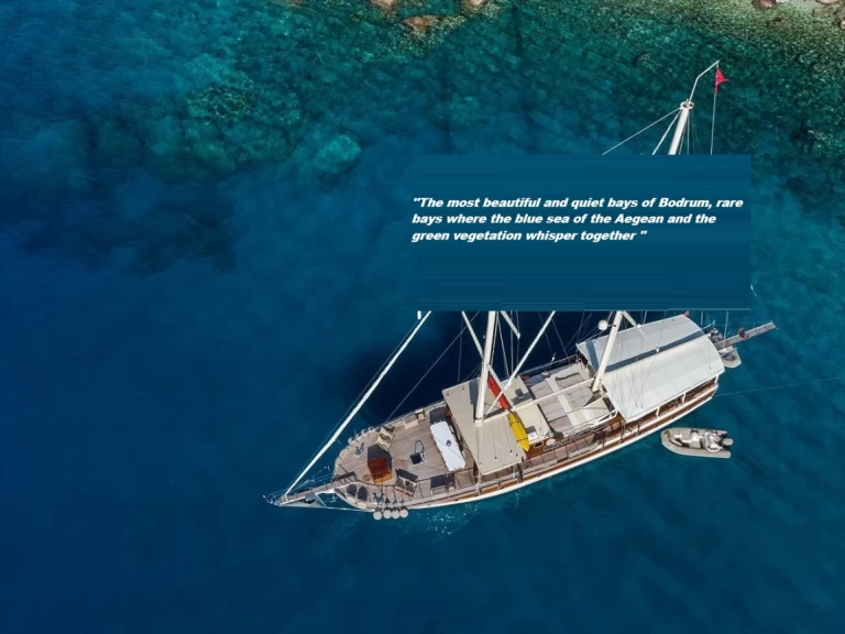 Uthyrning RIB Gulet med en båtlicens 