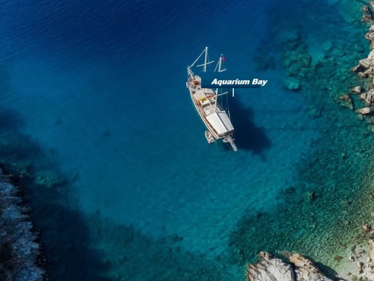 RIB för uthyrning Budrum Bay till det bästa priset 