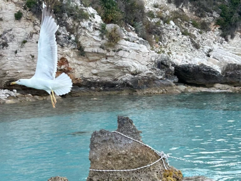 Katamaran  för uthyrning Lefkáda till det bästa priset 
