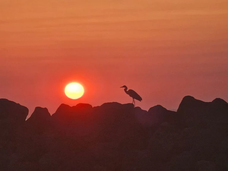 Båtuthyrning Marco 26 i Oía på Samboat 