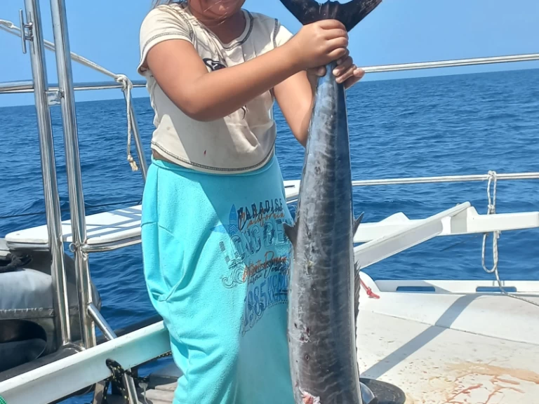 Uthyrning Katamaran  Wharram med en båtlicens 