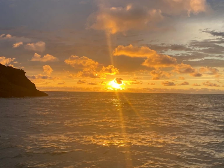 Pita Yacht Catamaran One Off charter bareboat eller skeppad i Hendaye