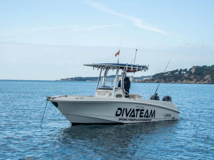 Boston Whaler Boston Whaler 220 Outrage charter bareboat eller skeppad i Marina de Palamós