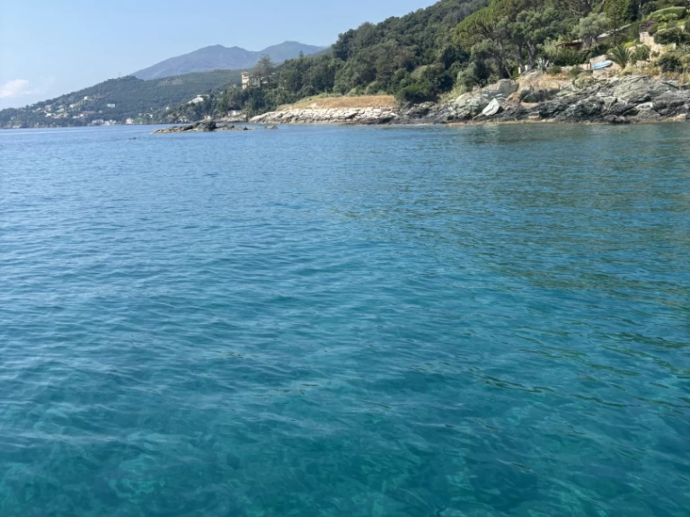 Yacht charter Bastia Port billig Cap Camarat 5.1