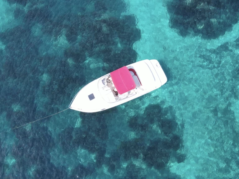 Uthyrning Vieux Port de Cannes - Rinker Captiva 232 Cudy av Samboat 