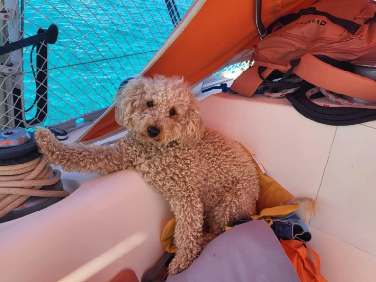 Yacht charter Saint-Florent billig Sun Fizz