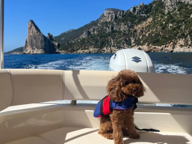 Hyr en Bsc BSC 70 Classic Villasimius 