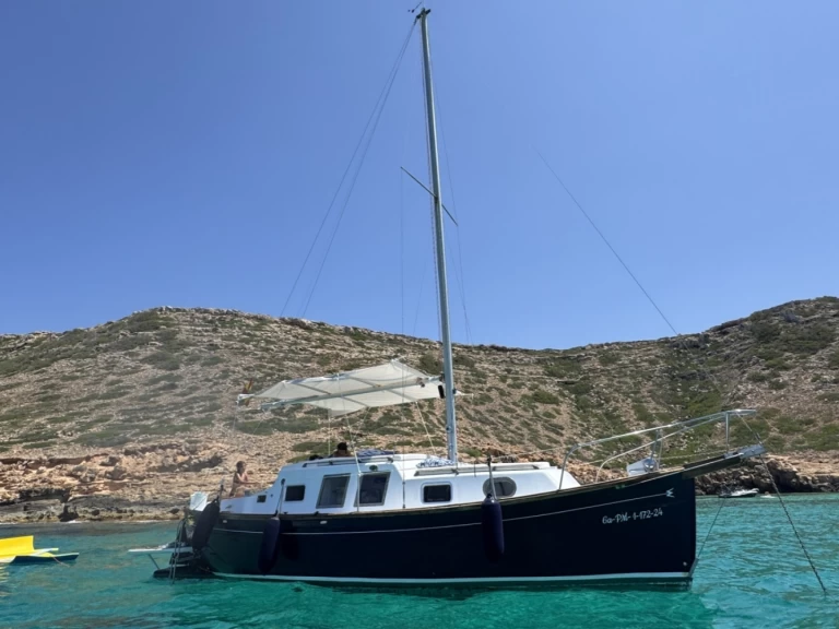 Yacht charter Palma de Mallorca billig Delfin 28