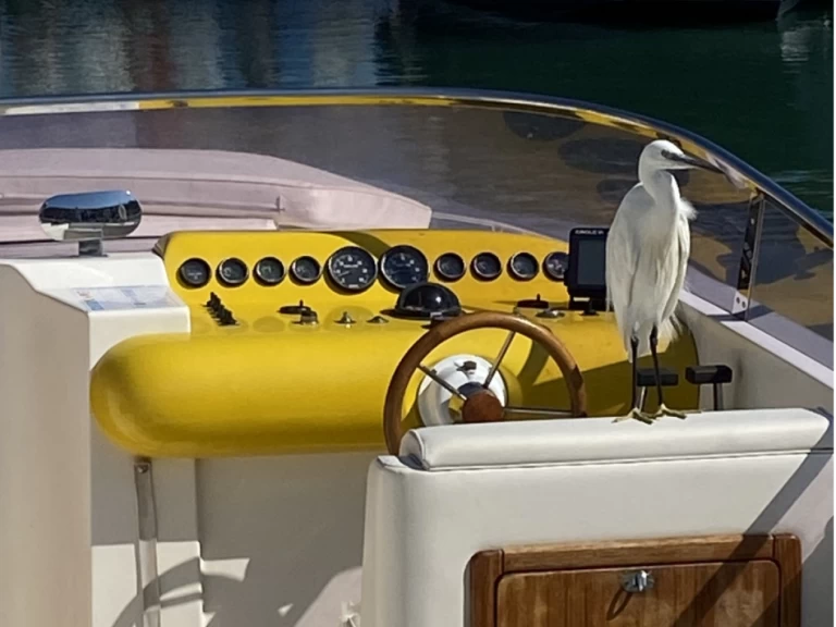 Hyr en Molinari AIRON MARINE  Talamone 