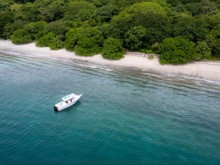 Uthyrning Motorbåt  grady-white med en båtlicens 